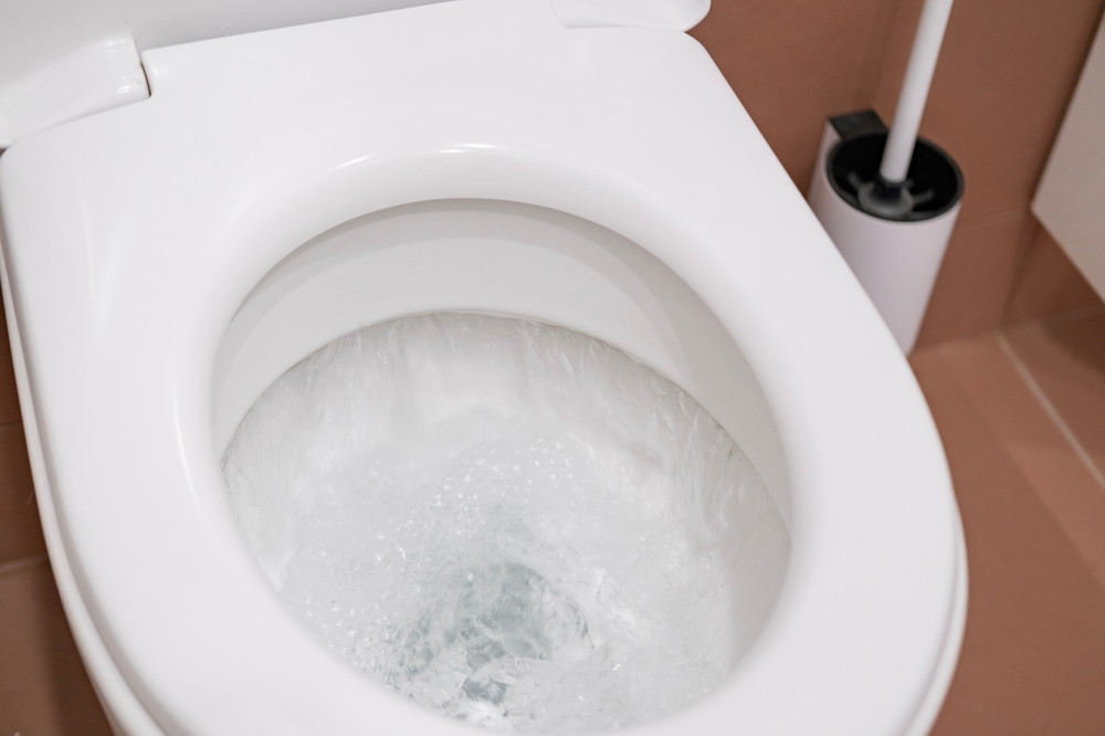 Plumbing Repair Services in Mount Vernon & Skagit County, WA